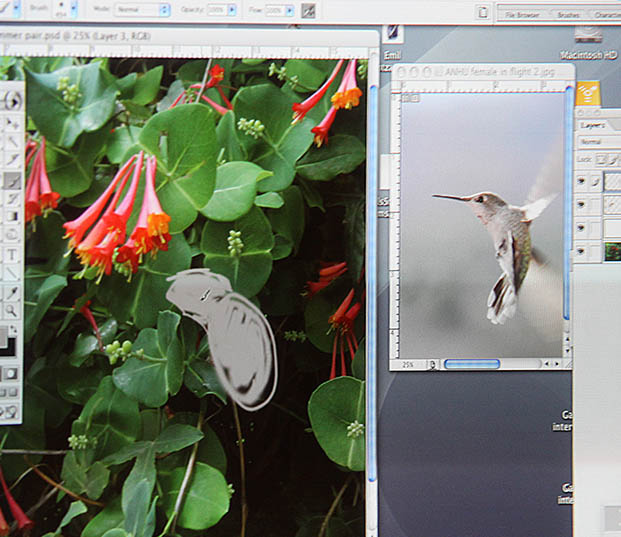 Merging Photos with Drawings